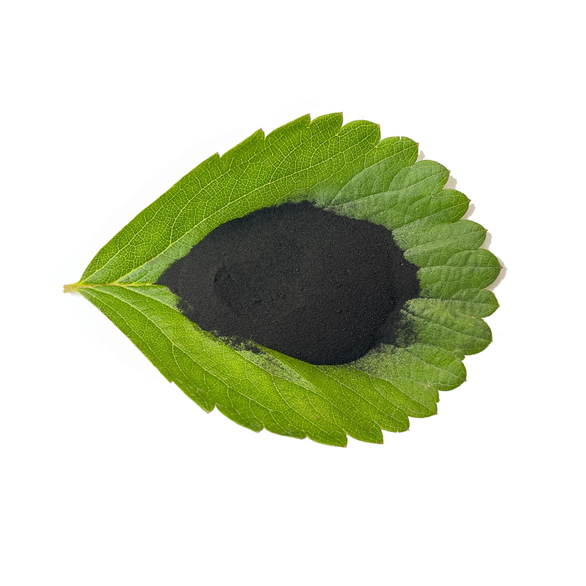 Humic Acid Powder sample